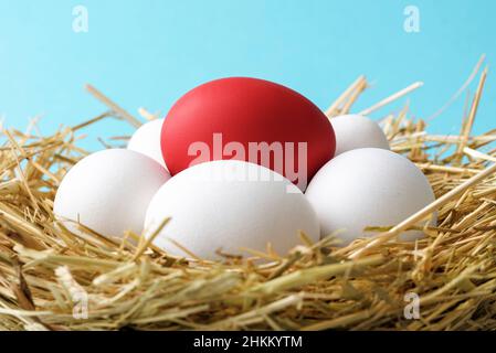 Gros plan des œufs de poulet dans un nid fait de pailles.Un œuf de pâques rouge qui pond plusieurs œufs blancs. Banque D'Images