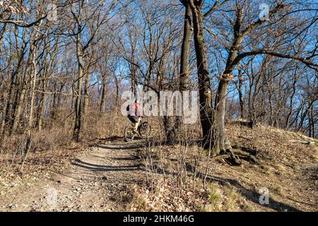 Un motard de montagne grimpe une colline escarpée sur un sentier escarpé dans la forêt. Banque D'Images