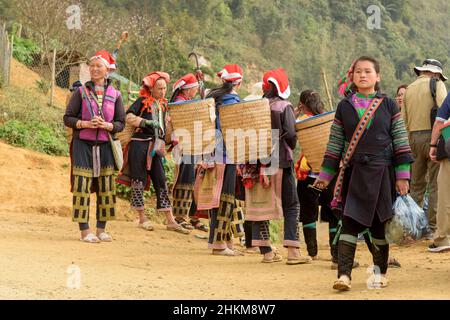 Les femmes tribales Red Dao dans la vallée de Muong Hoa (Thung Lũng Mường Hoa), près de Sapa, province Lao Cai, Vietnam, Asie du Sud-est Banque D'Images