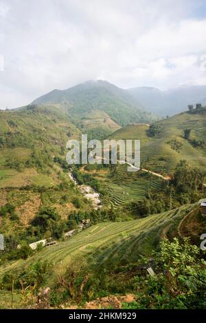 Rizières en terrasses et collines près de Sapa (sa Pa), province Lao Cai, Vietnam, Asie du Sud-est Banque D'Images