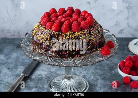 Gâteau aux amandes au chocolat sans Fourless avec ganache au chocolat et framboises fraîches Banque D'Images