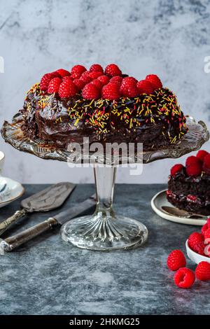 Gâteau aux amandes au chocolat sans Fourless avec ganache au chocolat et framboises fraîches Banque D'Images