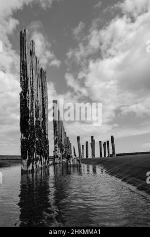 Poteaux en bois, Nouvelle-Zélande Banque D'Images