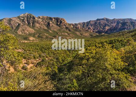 Massif du pic d'argent sur la gauche, pic de soufre sur la droite, forêt de Coronado Natl, montagnes Chiricahua, de Cave Creek Road (FR 42), près de Portal, Arizona, États-Unis Banque D'Images