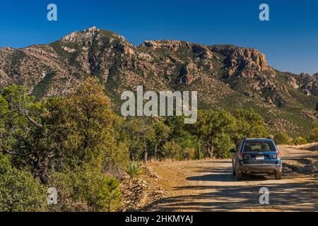 Massif du pic d'argent, forêt nationale de Coronado, montagnes Chiricahua, vue depuis Cave Creek Road (FR 42), près de Portal, Arizona, États-Unis Banque D'Images