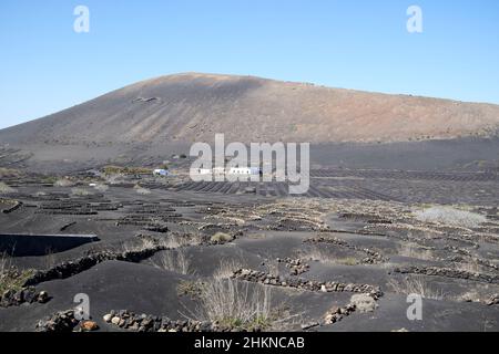 Murs de pierre entourant les vignes dans le vignoble sur les pentes du volcan montana de pena palomas la geria Lanzarote Iles Canaries Espagne Banque D'Images