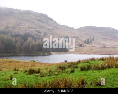 Deux randonneurs dans un petit lac peu profond du Lake District, en Angleterre, un matin froid et brumeux Banque D'Images