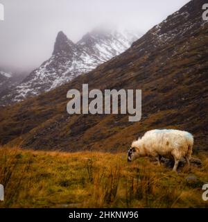 Kerry Mountains, Irlande Banque D'Images