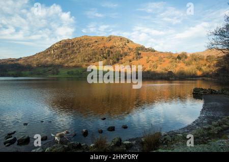 Couleurs d'automne à Rydal Water près de Grasmere, Lake District National Park, Cumbria, Angleterre Banque D'Images