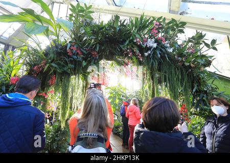 Londres, Royaume-Uni, février 5th 2022. Les visiteurs ont apprécié le premier jour du festival annuel d'orchidées de Kew Gardens, célébrant la diversité du Costa Rica, avec des expositions de fleurs colorées, des installations d'art et des danses, tous participant au Conservatoire de la princesse de Galles et autour de lui. Crédit : Monica Wells/Alay Live News Banque D'Images