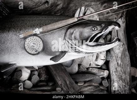 tige de mouche antique et rabatteur sur un grand saumon avec des pierres et bois de dérive en arrière-plan de la rivière Banque D'Images