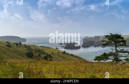 Paysage de la baie dans l'île de Shikotan, les îles de Kuril, image panoramique. Banque D'Images