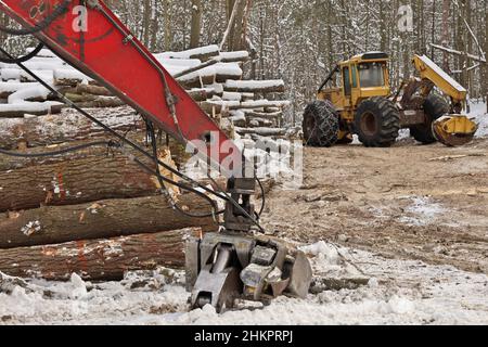 Débardeur à grumes ou à grumes et chargeur à flèche à couteaux avec grumes fraîchement récoltées et en bois de charpente Banque D'Images