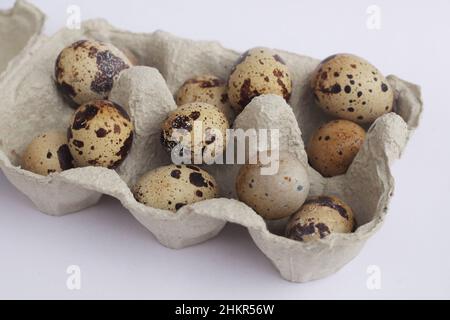 Caille les œufs dans un contenant en papier, vue de côté Banque D'Images