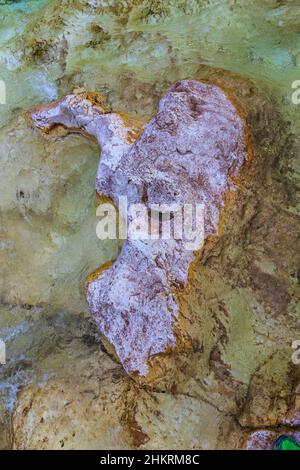 De petites roches qui sortent de l'eau cristalline de la rivière Soča, en Slovénie Banque D'Images
