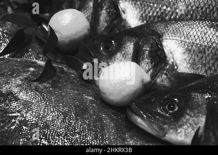 Basse européenne et Brill à vendre et marché du poisson en France.Le poisson a des nutriments importants, comme les protéines, la vitamine D, les oméga-3.Concept de régime alimentaire sain.BL Banque D'Images