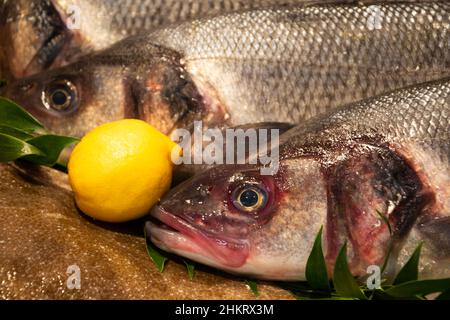 Bass et Brill en vente et marché du poisson en France. Le poisson a des nutriments importants, comme les protéines, la vitamine D, les oméga-3. Concept de régime alimentaire sain. Banque D'Images