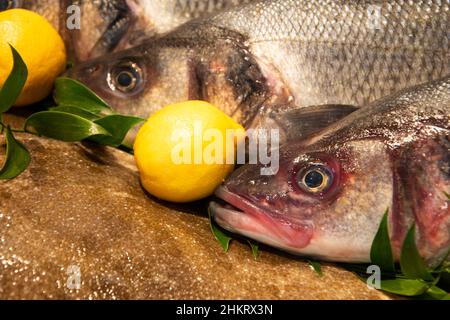 Bass et Brill en vente et marché du poisson en France. Le poisson a des nutriments importants, comme les protéines, la vitamine D, les oméga-3. Concept de régime alimentaire sain. Banque D'Images