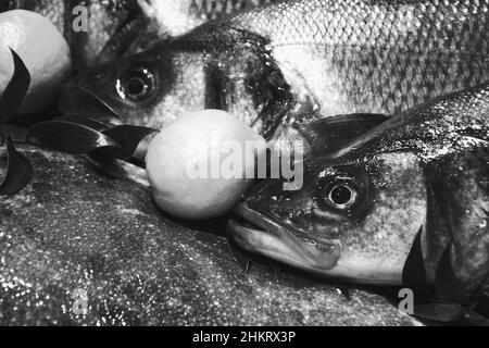 Basse européenne et Brill à vendre et marché du poisson en France. Le poisson a des nutriments importants, comme les protéines, la vitamine D, les oméga-3. Photo noir et blanc Banque D'Images