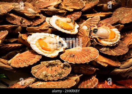 Saint-Jacques frais à vendre sur le marché du poisson en France.Les fruits de mer contiennent d'importants nutriments, comme les protéines, la vitamine D et les oméga-3.Concept de régime alimentaire sain.SCAL. Brut Banque D'Images