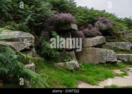 Formation de roche élevée surcultivée avec des fougères et des fleurs de feuillage, vieilles roches par le sentier Banque D'Images