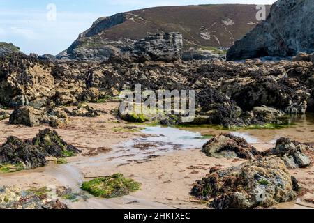 Ensoleillé au milieu de l'été avec le soleil chaud, à midi sur la côte nord de Cornish, entouré de falaises, d'ardoise et de formations de granit, avec des piscines de roche, un populaire Banque D'Images