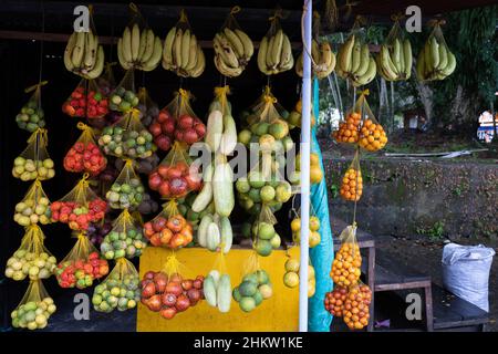 Présentation de fruits exotiques sur le marché de leticia, Amazonie, Colombie Banque D'Images
