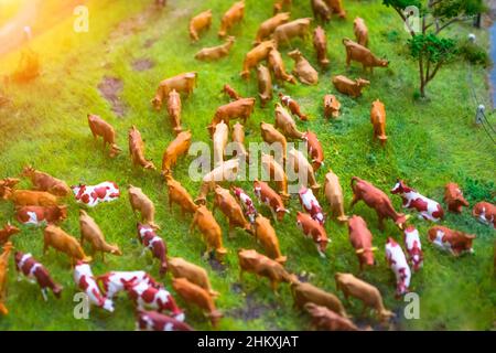 Troupeau de vaches jouets miniatures sur un paysage agricole de prairie, vue de dessus Banque D'Images