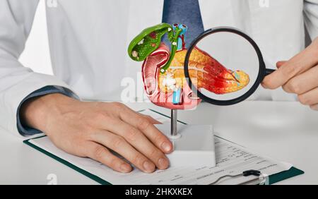 Diagnostic et traitement de la maladie pancréatique. médecin consultant patient avec pancréatite aiguë pointant la maladie pancréatique sur anatomique Banque D'Images