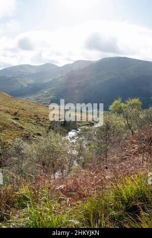 Le Buchan Burn descendant vers Loch Trool dans Glen Trool près de Newton Stewart Dumfries et Galloway Ecosse Banque D'Images