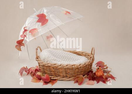 panier pour bébé décoré avec un parapluie et l'automne Banque D'Images