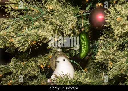 Tradition allemande de Hiding the Christmas Pickle Banque D'Images