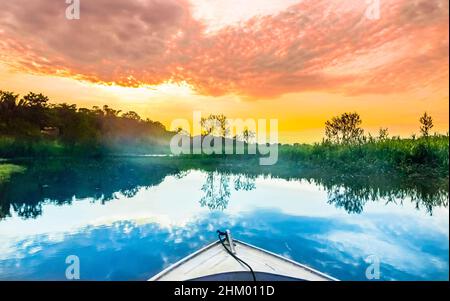 Vue en bateau sur Amazon au Brésil.Photo de haute qualité Banque D'Images