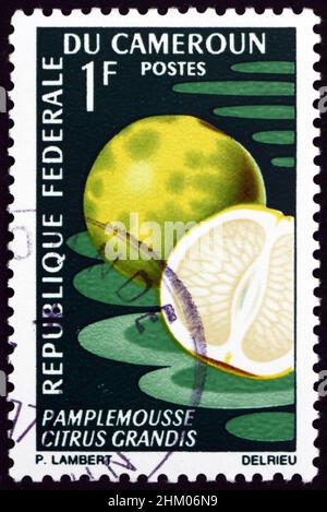 CAMEROUN - VERS 1967: Un timbre imprimé au Cameroun montre le pomelo, agrumes grandis, est le plus grand agrumes originaire de l'Asie du Sud-est, vers 1967 Banque D'Images