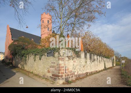 Château de Crass en automne à Eltville dans le Rheingau, Hesse, Allemagne Banque D'Images