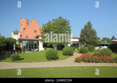 Château de Crass et Château électoral à Eltville, Rheingau, Hesse, Allemagne Banque D'Images