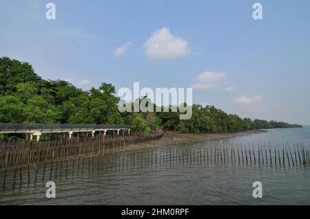 Zone côtière de la réserve de Sungei Buloh à Singapour Banque D'Images