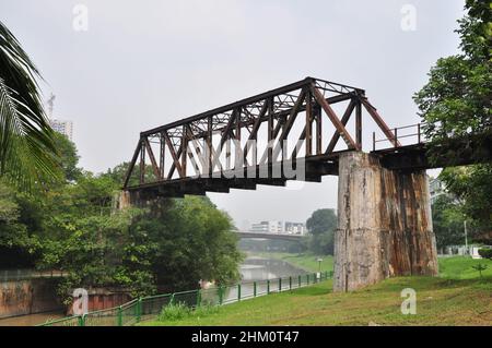 Partie du couloir ferroviaire de Singapour - un passage vert continu de 24 km de long qui permet le déplacement de la faune entre les grands espaces verts Banque D'Images