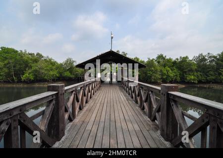 Réserve de Sungei Buloh à Singapour Banque D'Images