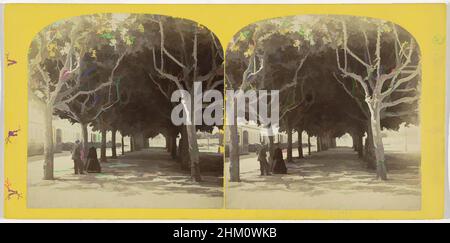 Art inspiré par la promenade pédestre sous une rangée d'arbres à Wiesbaden, Allemagne, Avenue à Wiesbaden, vues sur le Rhin et ses environs, Der Rhein und seine Umgebungen, William England, Wiesbaden, 1867 - 1868, carton, Papier, imprimé albumine, hauteur 83 mm × largeur 172 mm, oeuvres classiques modernisées par Artotop avec une touche de modernité. Formes, couleur et valeur, impact visuel accrocheur sur l'art émotions par la liberté d'œuvres d'art d'une manière contemporaine. Un message intemporel qui cherche une nouvelle direction créative. Artistes qui se tournent vers le support numérique et créent le NFT Artotop Banque D'Images