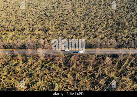 Vue aérienne depuis un drone de dommages aux bois à Edzell depuis Storm Corrie le 31st janvier 2022, Angus, Écosse, Royaume-Uni Banque D'Images