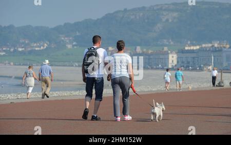 RANDONNEURS DE CHIENS SUR LE FRONT DE MER À LLANDUDNO NORD-OUEST DU PAYS DE GALLES RE EXERCICE FORME PHYSIQUE SANTÉ MODE DE VIE SAIN VACANCES VIE CÔTIÈRE ETC ROYAUME-UNI Banque D'Images