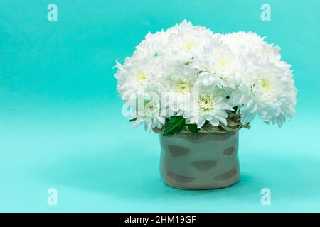 Bouquet de chrysanthèmes blancs dans un vase en céramique sur fond bleu. Carte postale pour la fête des mères, pour le 8 mars. Belles fleurs de chrysanthème. Placer Banque D'Images