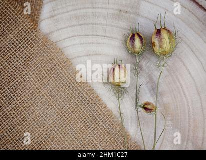 Composition à partir de matériaux naturels.Toile de jute et bois, fleurs séchées.Anneaux annuels sur la texture du bois.Vue de dessus, espace de copie, concept ECO. Banque D'Images