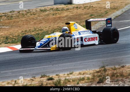 Riccardo Patrese, Formule 1, Grand Prix d'Allemagne au Hockenheimring le 29 juillet 1990, Team Williams-Renault, car FW13B, moteur Renault RS2 Banque D'Images