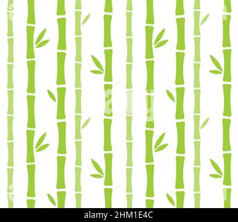 Motif forêt de bambou sans couture.Tiges et feuilles de bambou vertes sur fond blanc.Illustration vectorielle simple de style dessin animé. Illustration de Vecteur