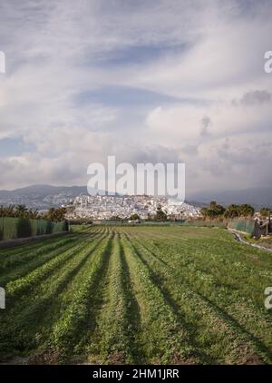 La ville espagnole de Salobreña entourée de terres agricoles sur une colline, Costa tropical, Granda, Espagne. Banque D'Images