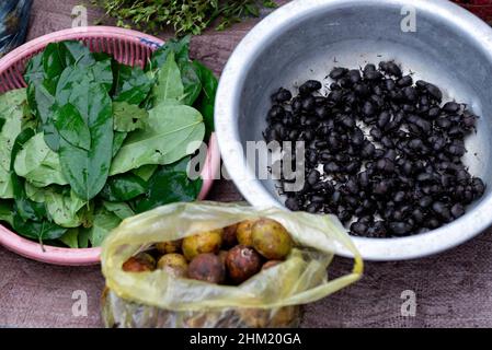 Bols de coléoptères comestibles et herbes dans le marché de rue au Laos Banque D'Images