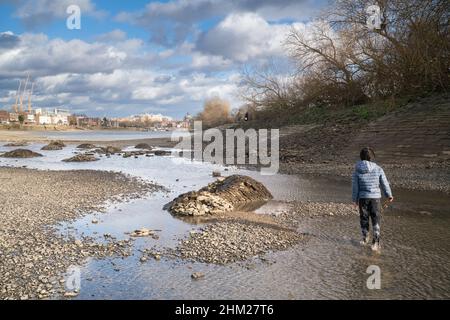 Chiswick Eyot est un ait de la Tamise étroit et inhabité de 3,266 acres Banque D'Images