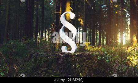 Paragraphe symbole Justice Sign In Forest on Tree trunk Banque D'Images